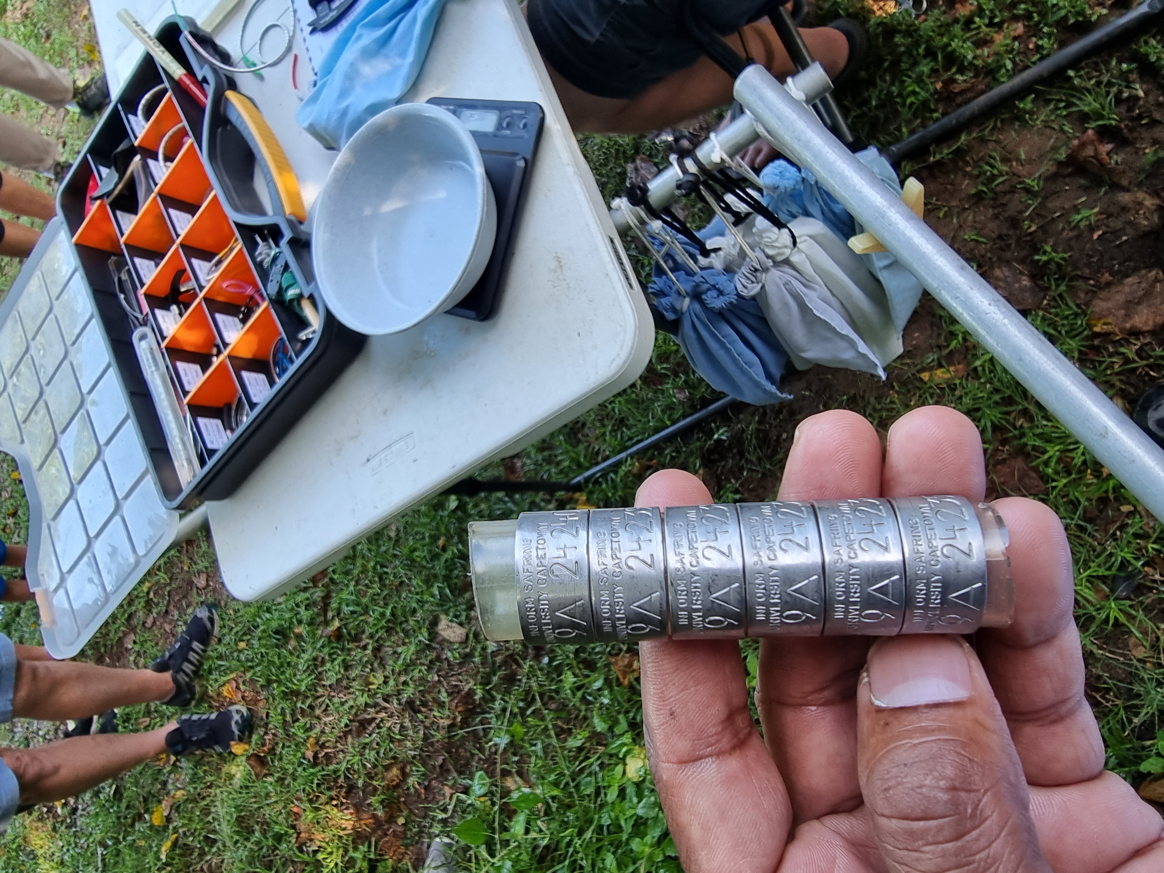 pic3 rings